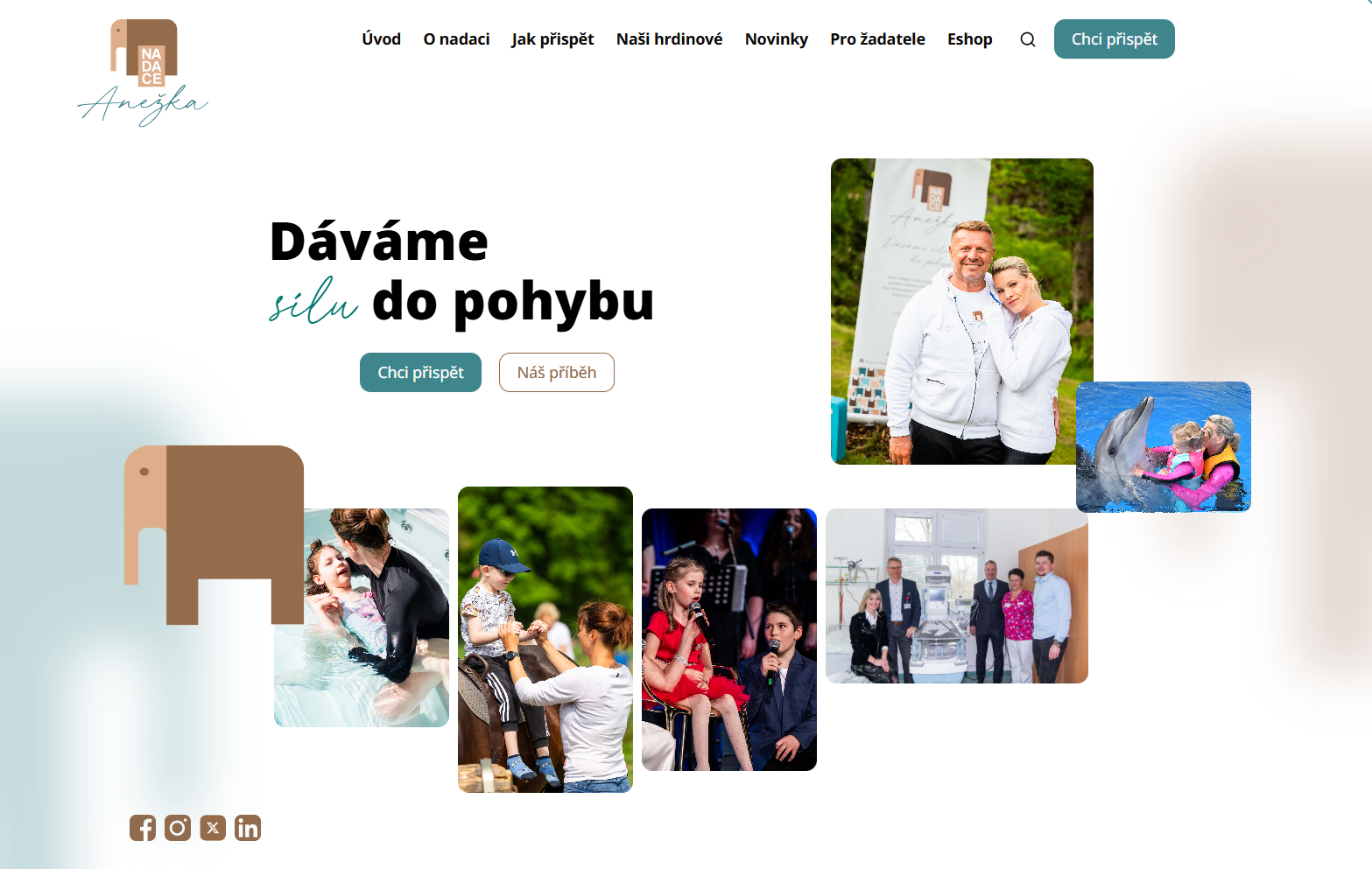 Nadace Anežka